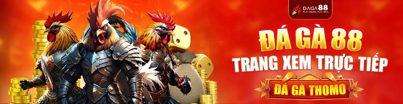 Đá gà trực tuyến OKVIP.com
